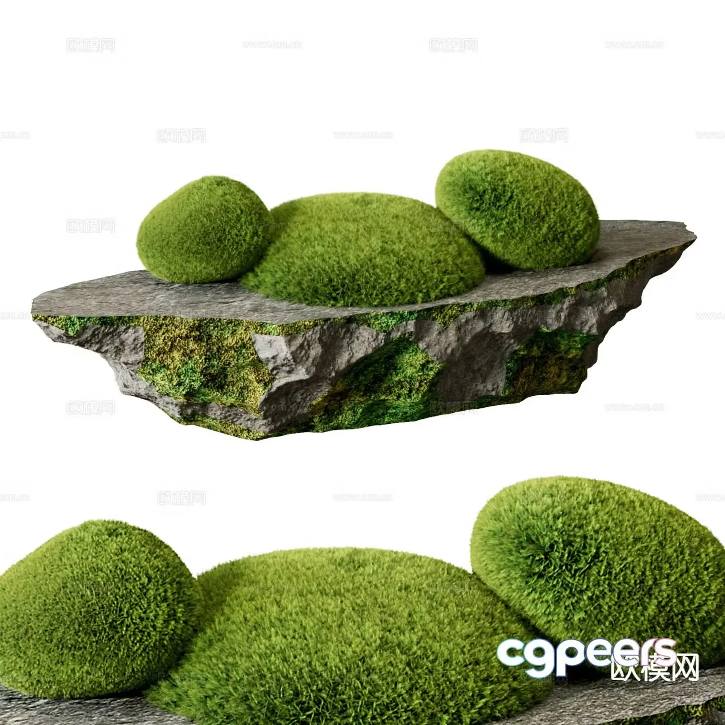 Landscape sketch moss landscaping 3D model