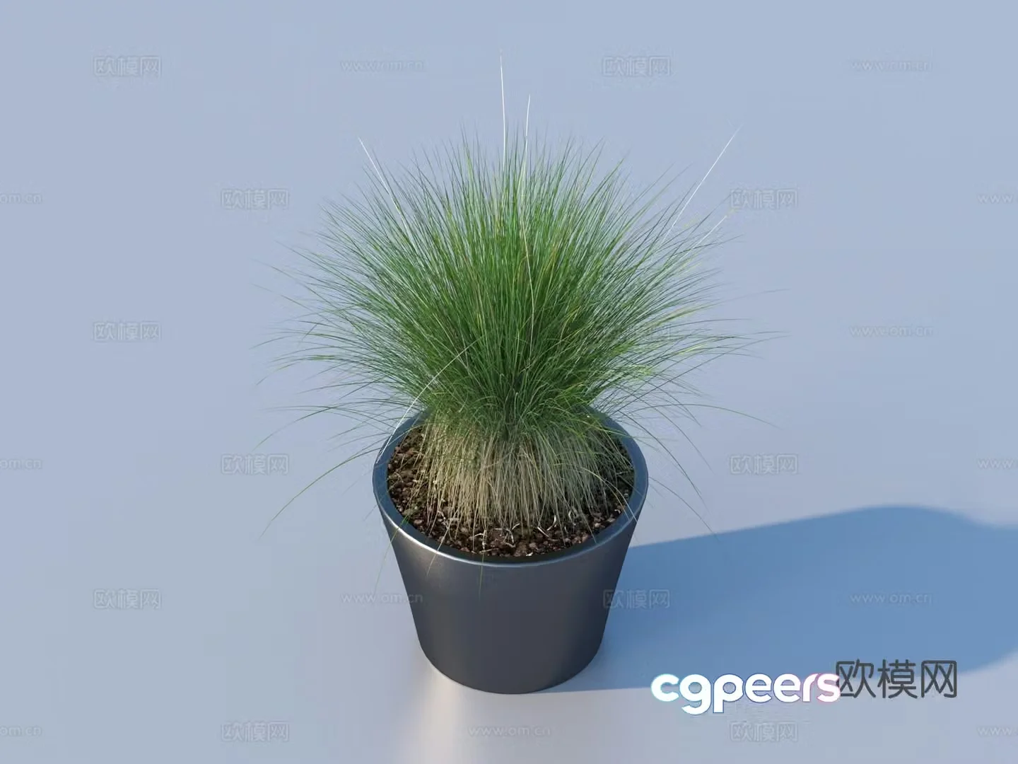 flowerpot potted plant green plant plant 3d model