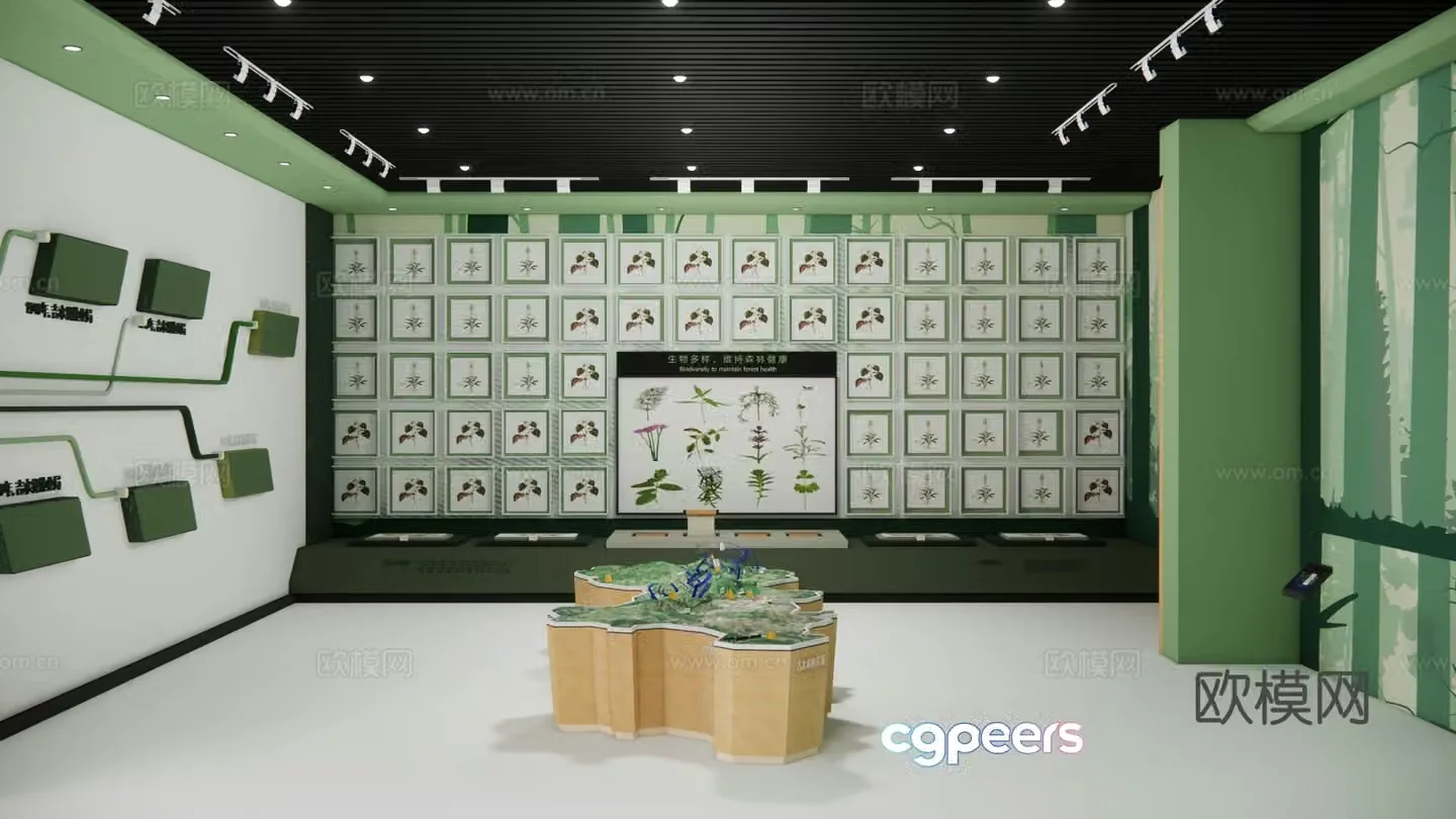 Modern Specimen Exhibition Hall Plant Medicinal Specimen 3D Model