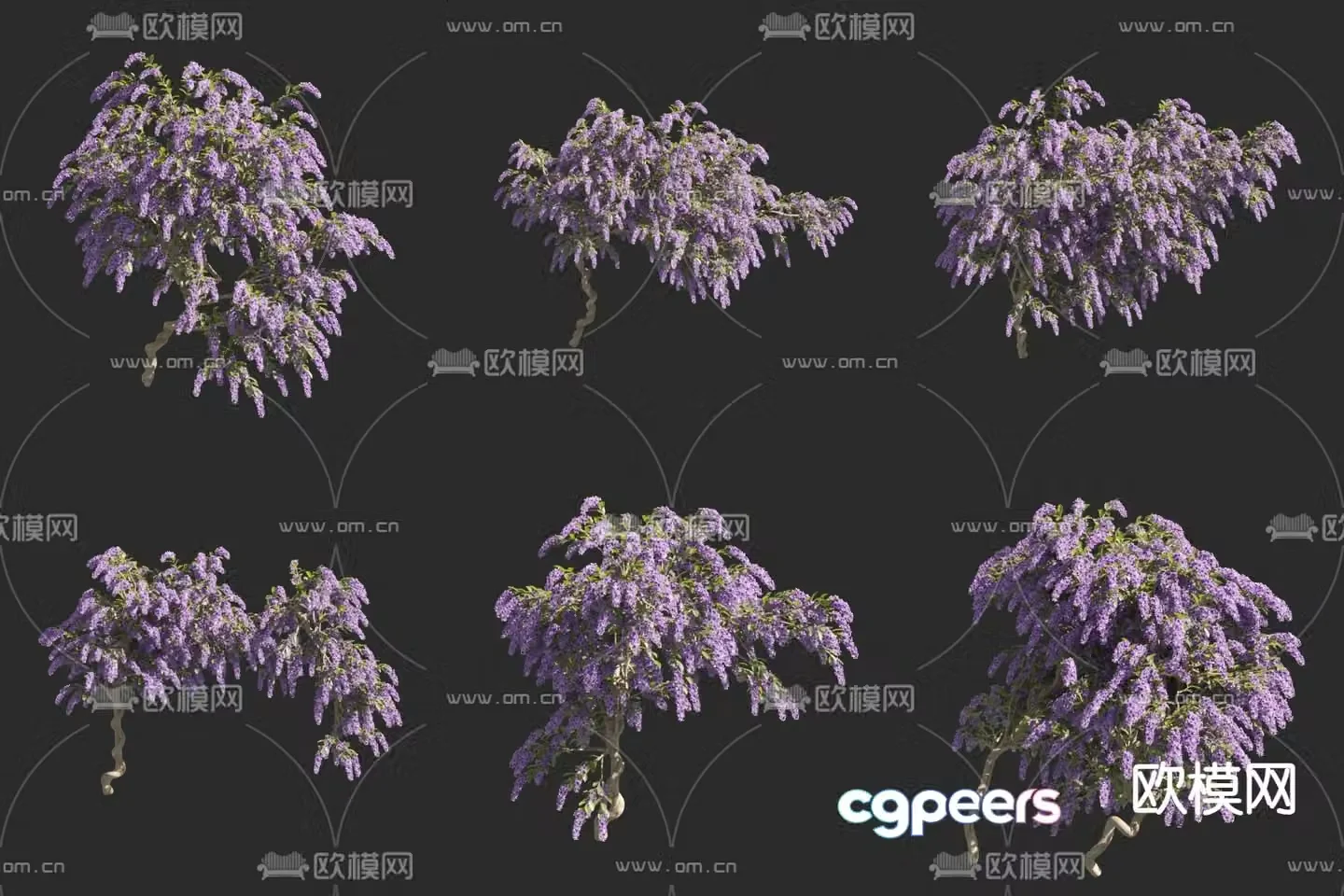 Orchid vine Zixia vine 3D model
