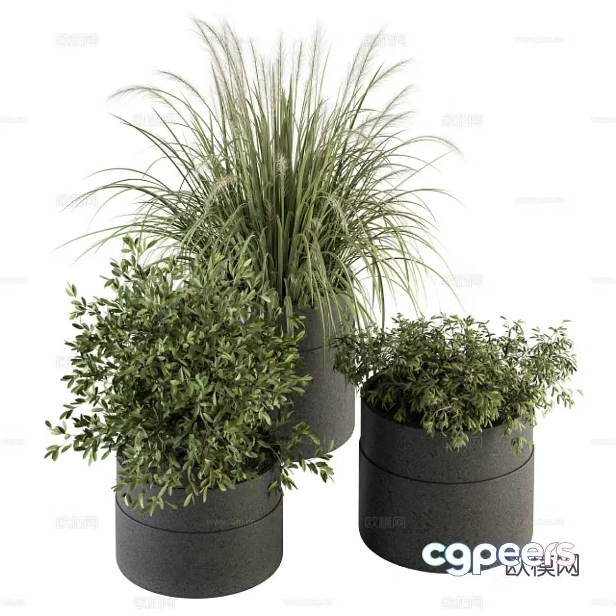 Green plant potted 3D model