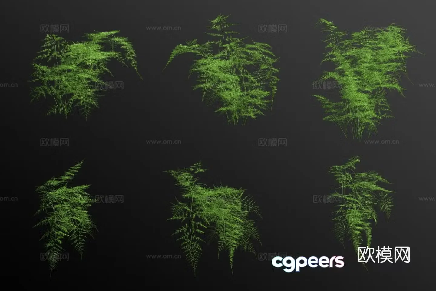 Asparagus bamboo 3d model