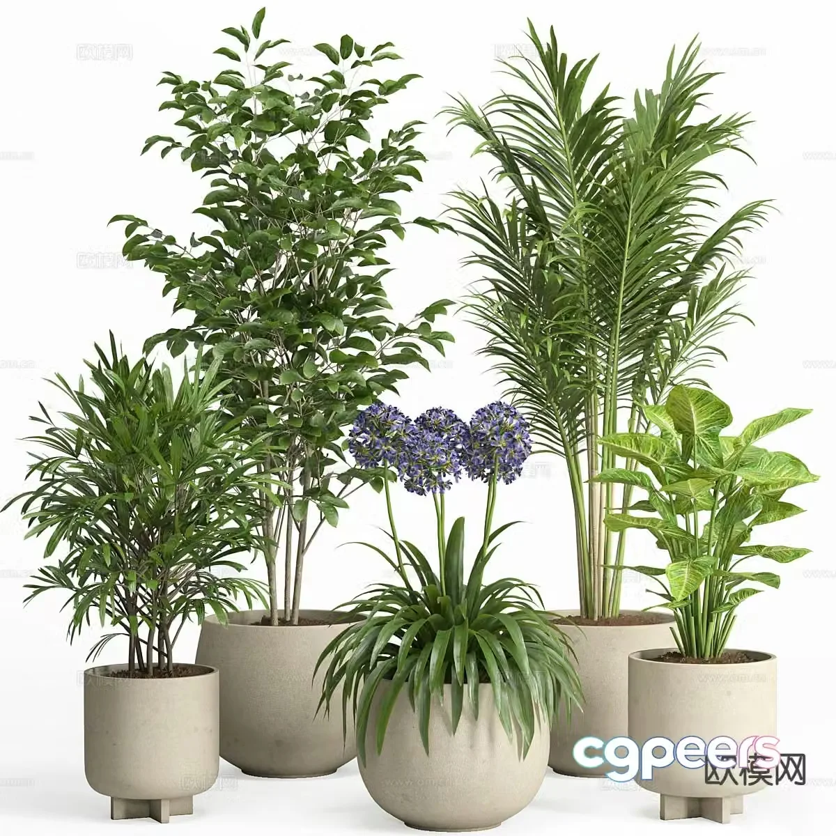 plant pot green plant flower pot 3d model