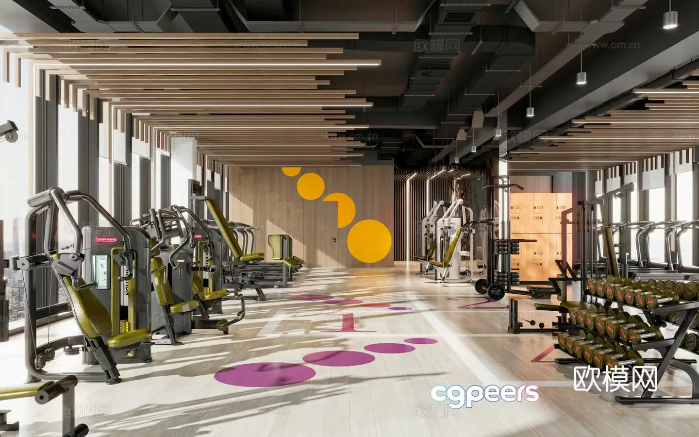 Modern gym 3d model