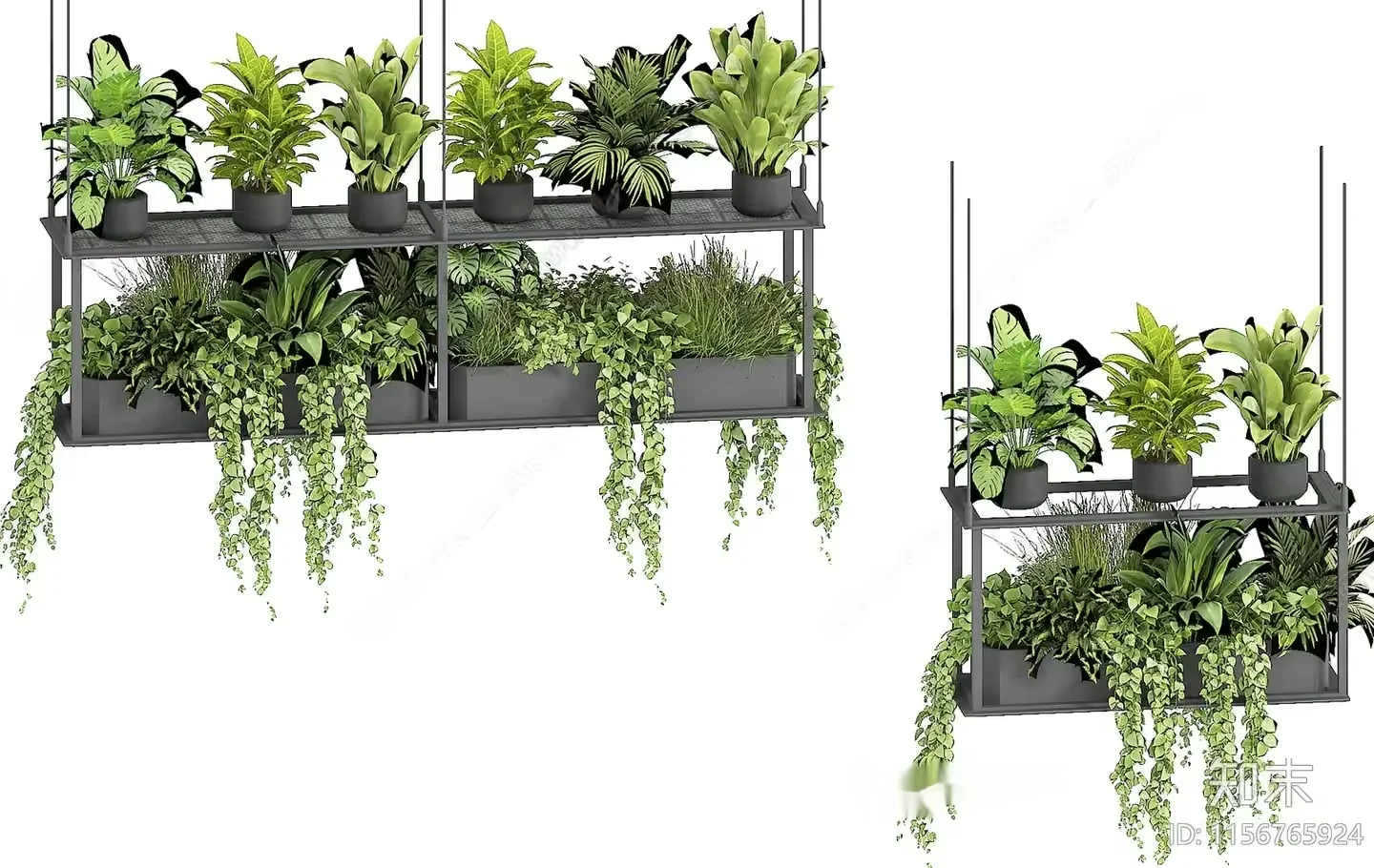 Green Plants On Shelves 3D Model – 9474 – VRAY Render