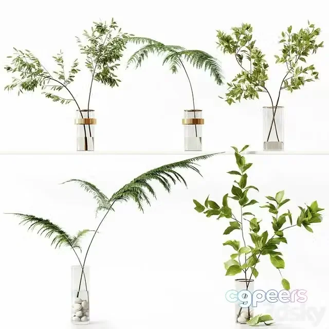 3ds Max Free – Collection Indoor Plants 058