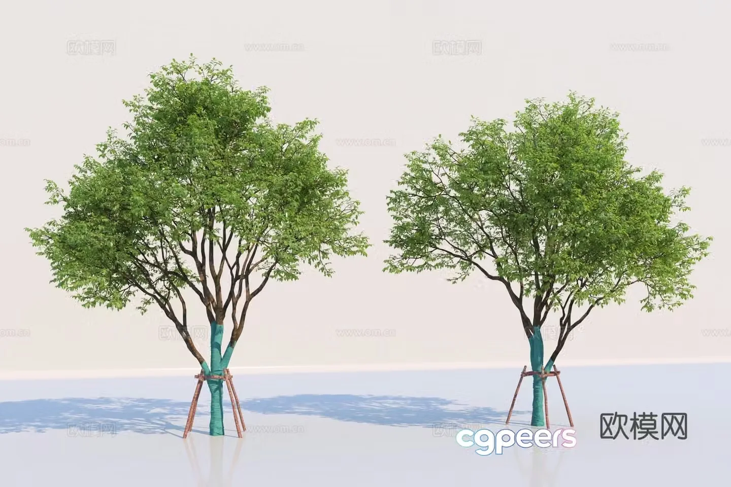 Landscape tree arbor street tree 3d model