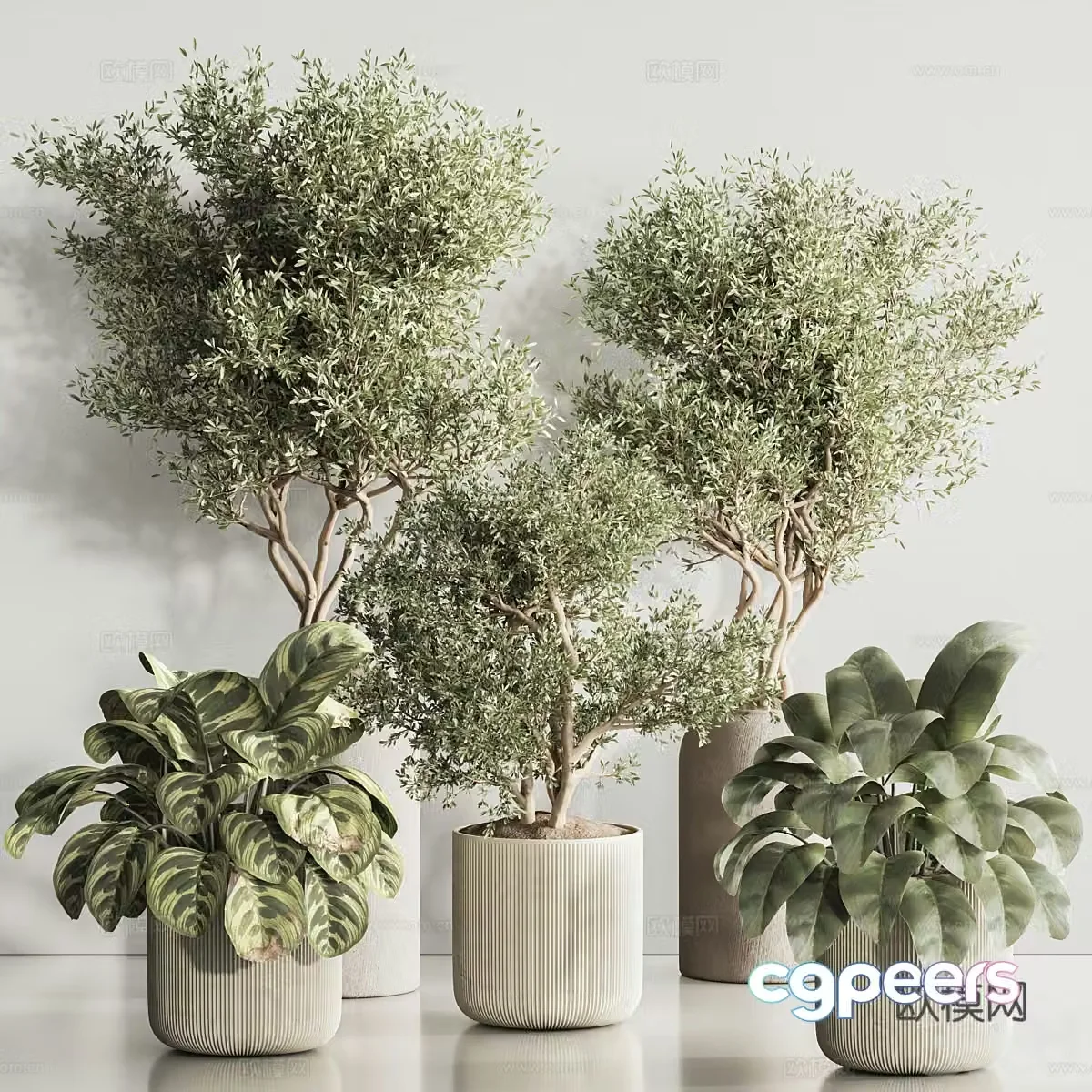 New Chinese green plant bonsai pot 3D model