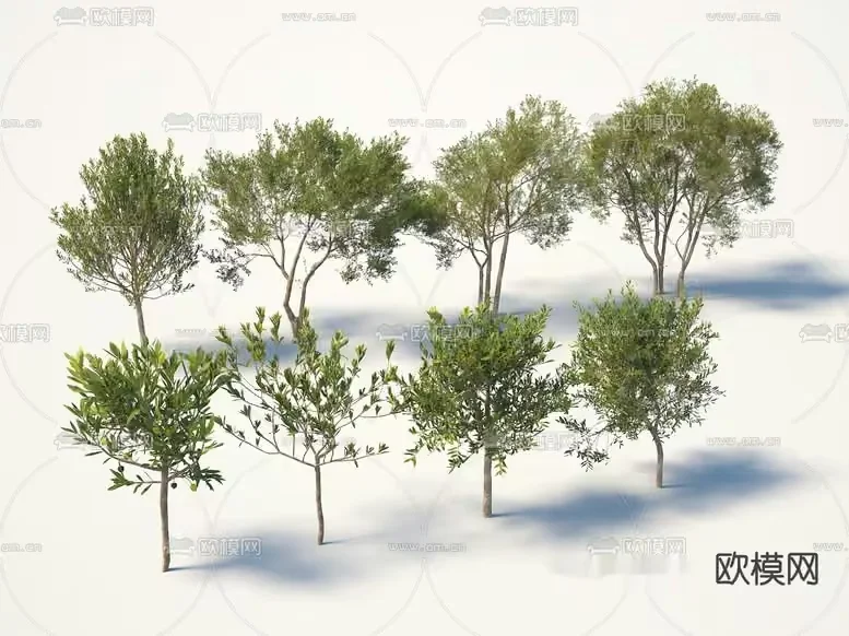 Small Trees 3D Model – 16274 – VRAY Render
