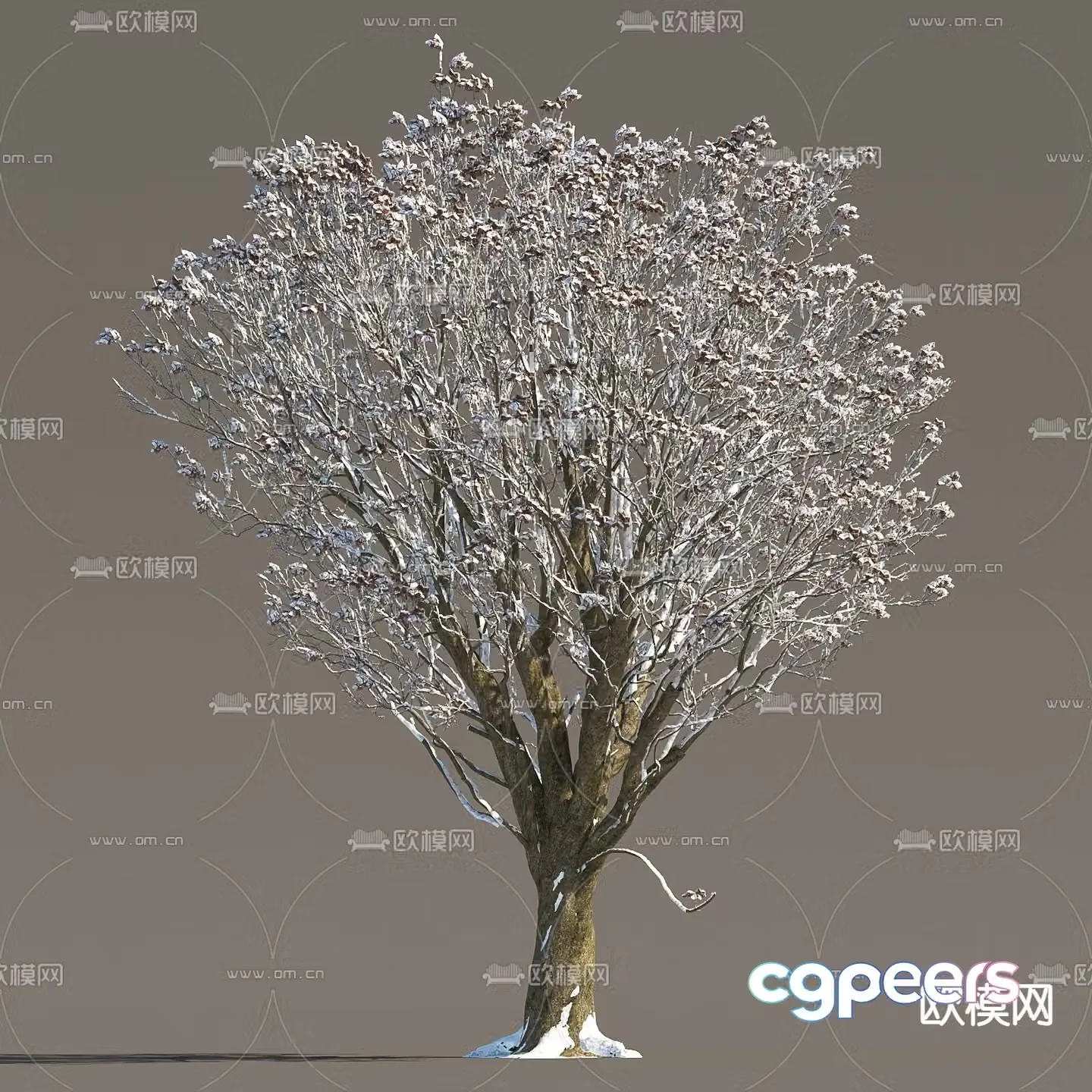 Snow Tree Ice Tree Snow Tree 3D Model