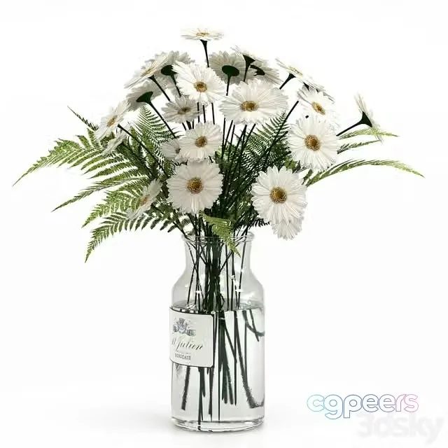 3ds Max Free – Bouquet with camomiles