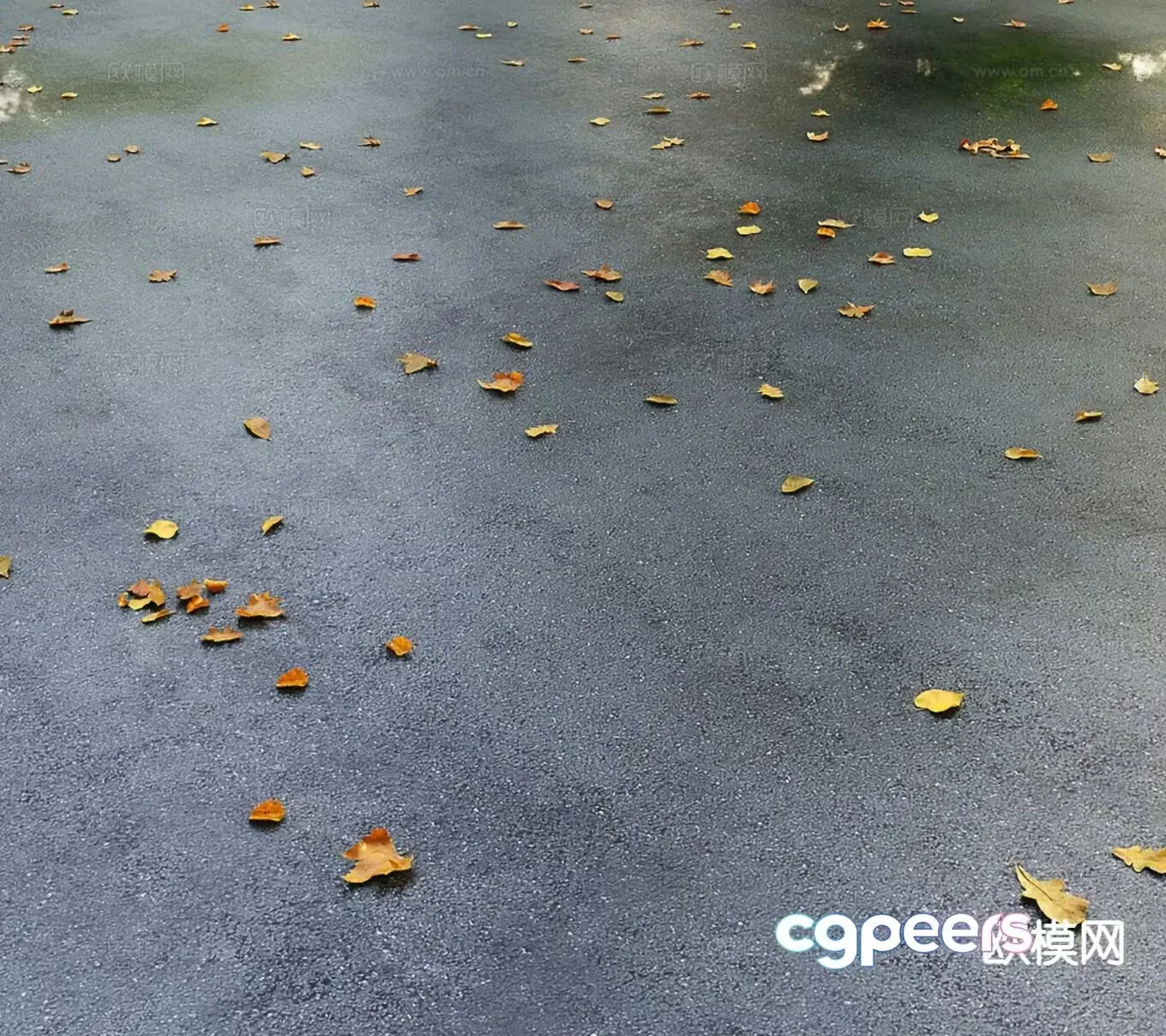 Modern ground pavement leaves maple leaves dead leaves 3d model
