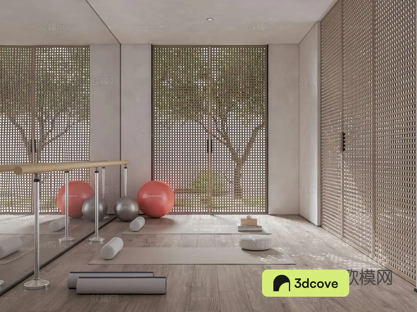 Villa yoga room gym home gym yoga equipment yoga mat whole wall mirror