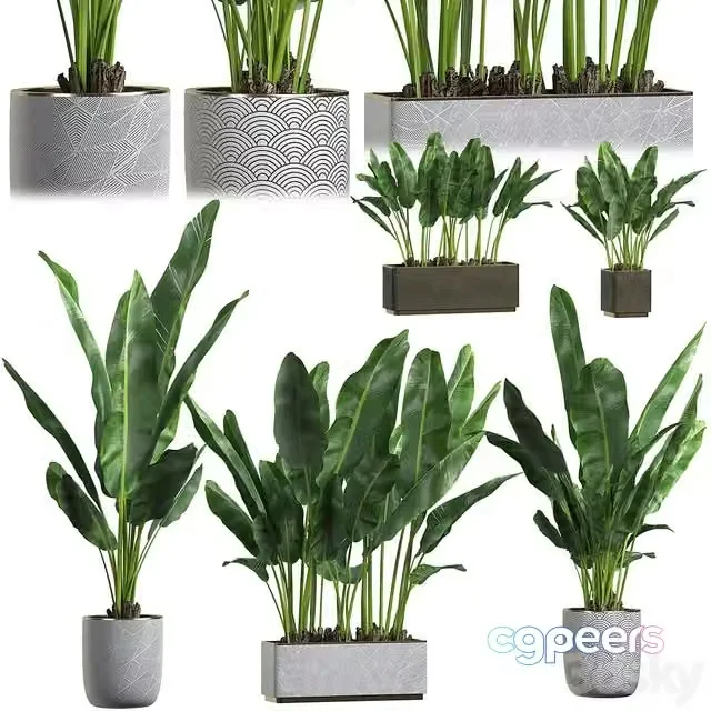 3ds Max Free – INTERIOR FLOWER PACK 1
