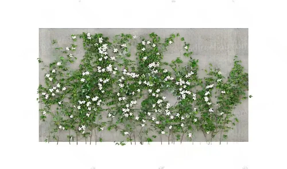 White Flowers And Green Leaves 3D Model – 22407 – VRAY Render