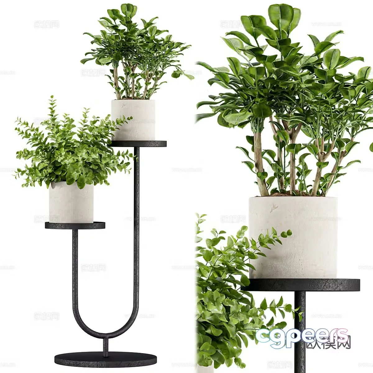 Modern green bonsai 3d model