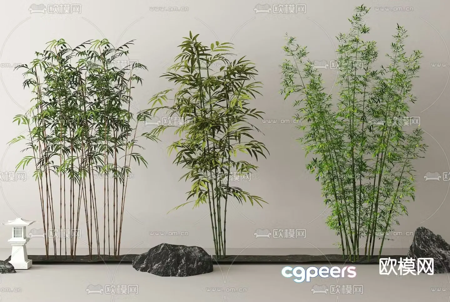 Bamboo Bamboo Forest Landscape Bamboo Plant 3D Model