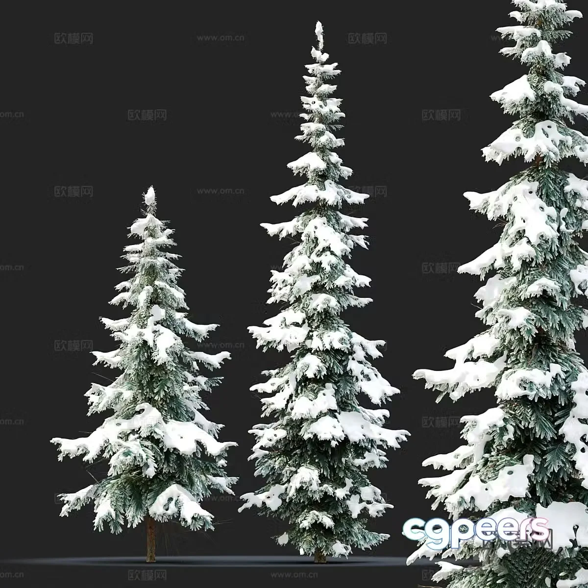 Fir tree 3d model