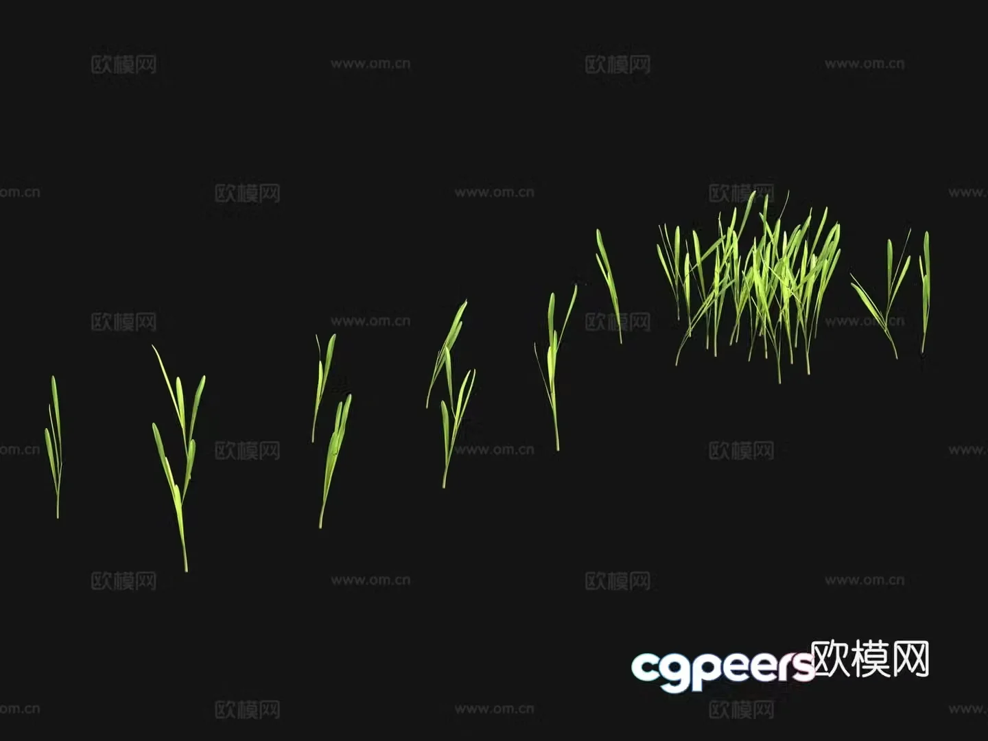 Grass seeds lawn 3d model