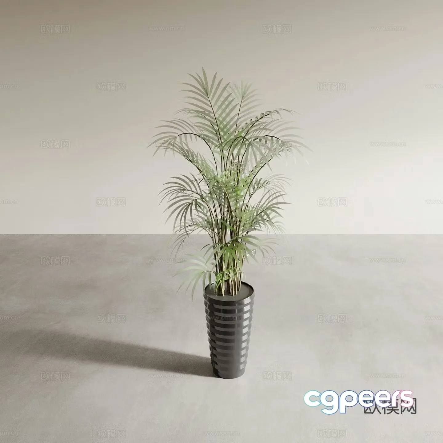 Bonsai pots indoor green plants plant ornaments plant flower pots vase flower pots 3D model