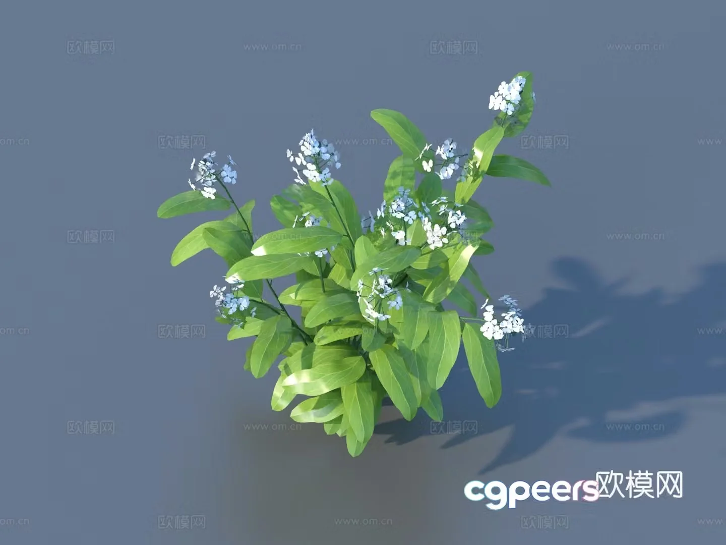Flowers Wild Flowers Green Plants Flowers 3D Model
