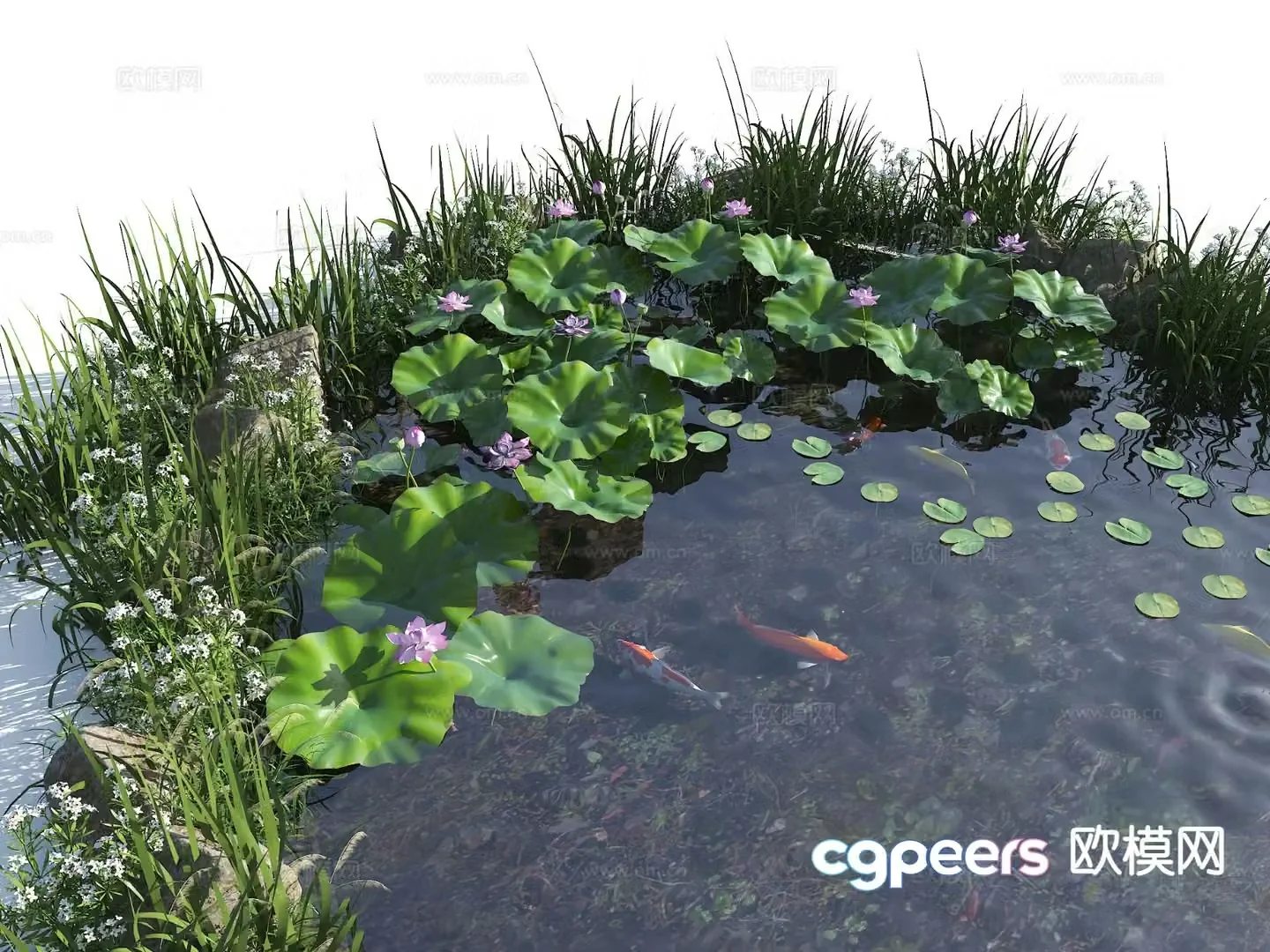 Modern ecological fish pond pool sketch lotus pond 3d model