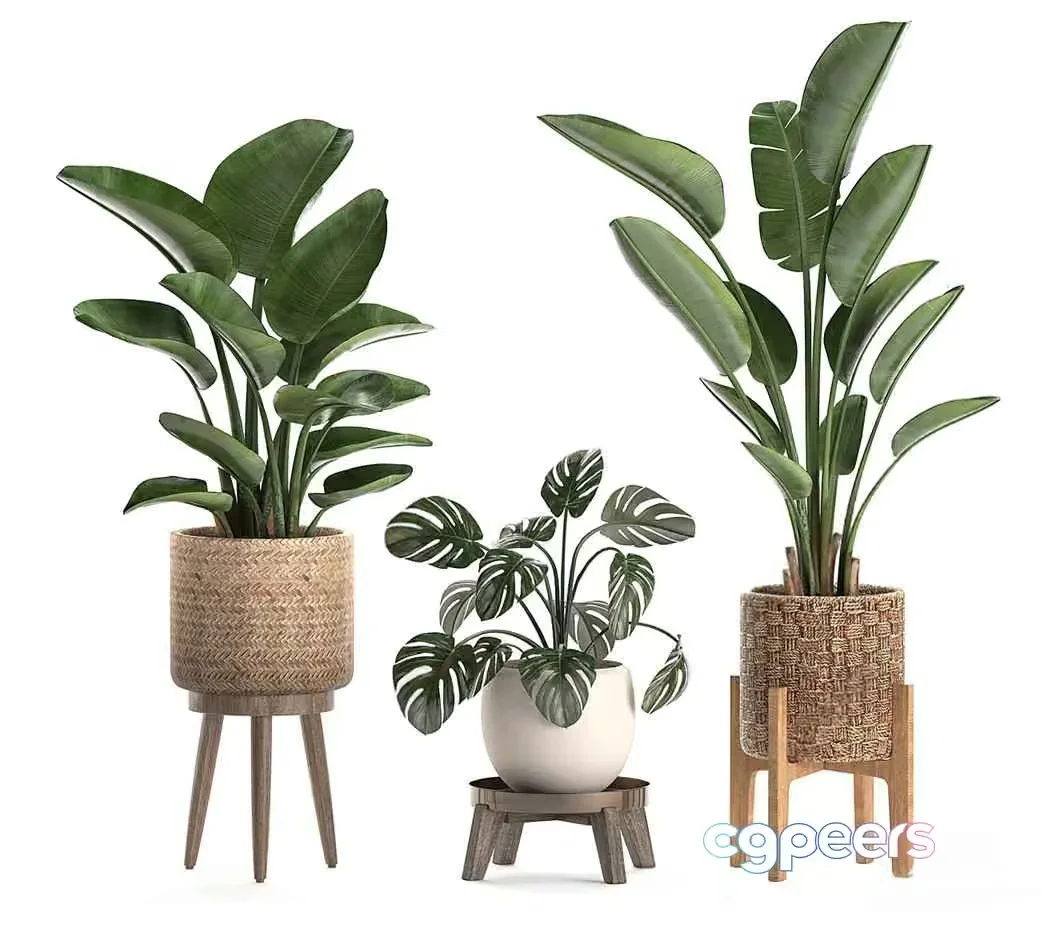 A Collection Of Potted Plants 3D Model – 2189 – VRAY Render