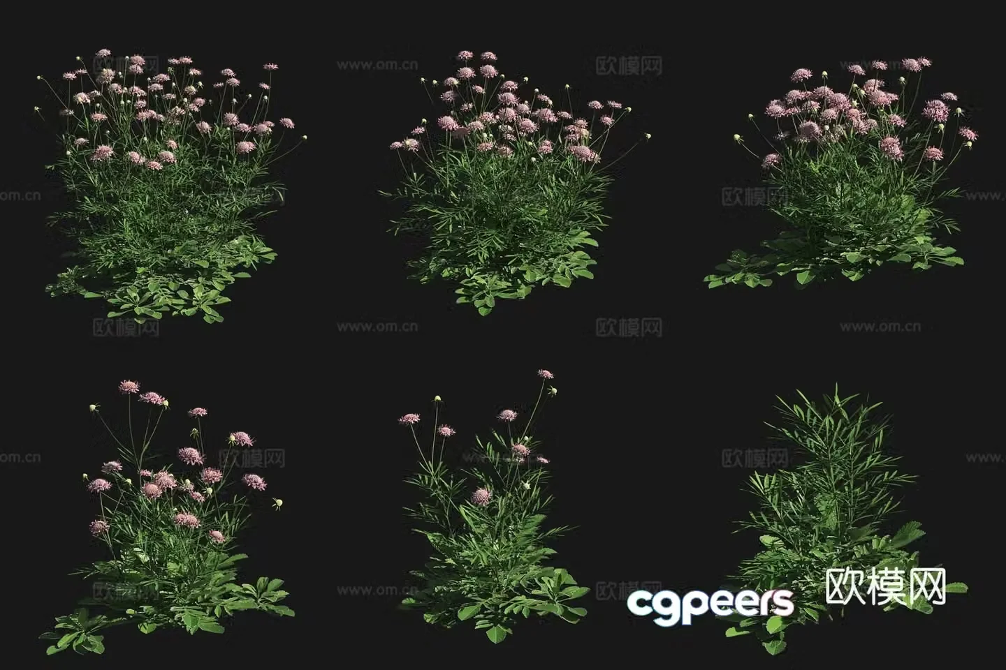 3D model of purple potted flowers plants and shrubs