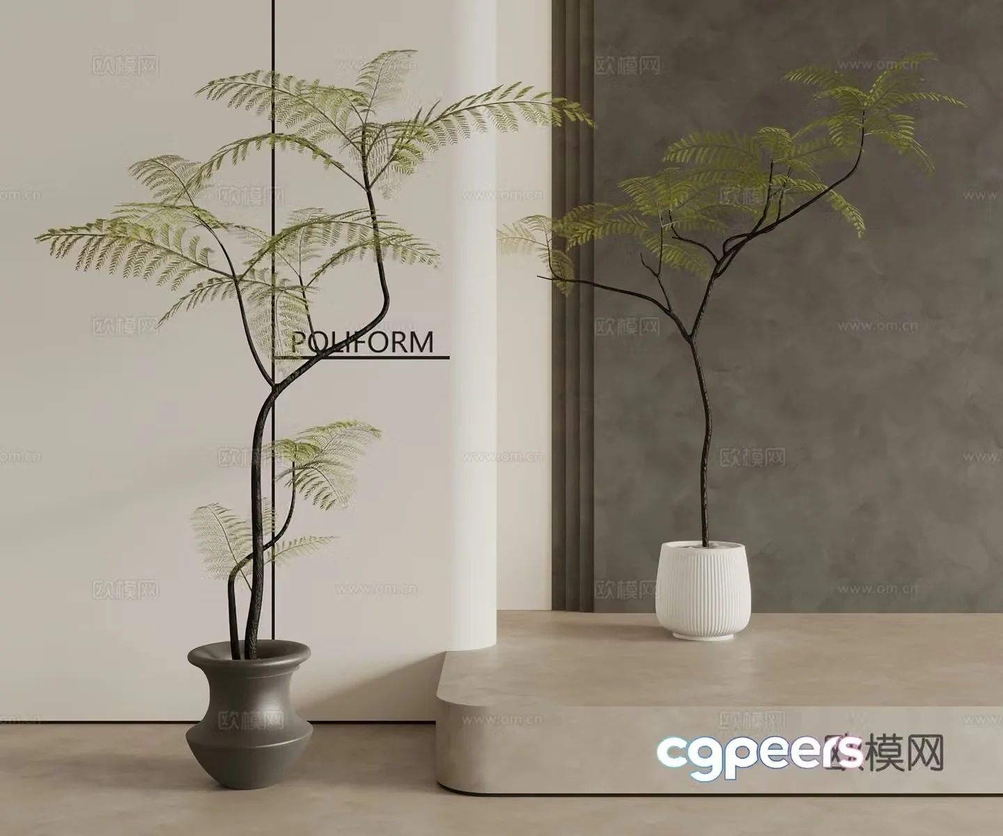 Modern Middle Style Plant 3D Model