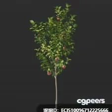 A Tree With Fruit 3D Model – 4196 – VRAY Render