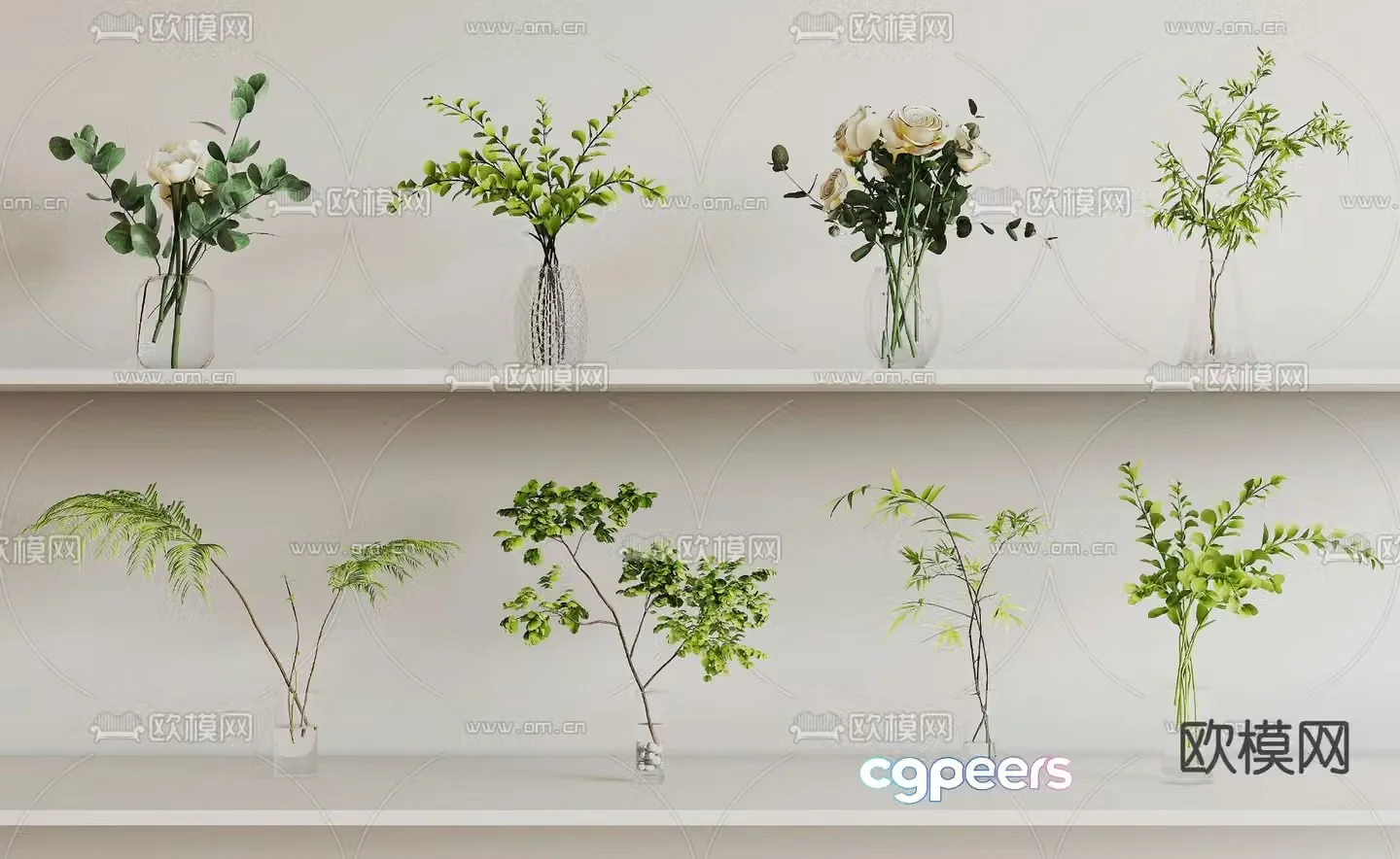 Aquatic plants hydroponic green plants 3D model