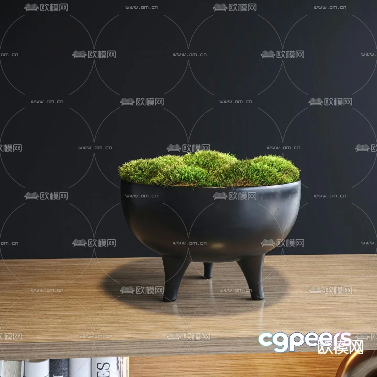 Plant decoration green plant ornaments moss bonsai 3d model