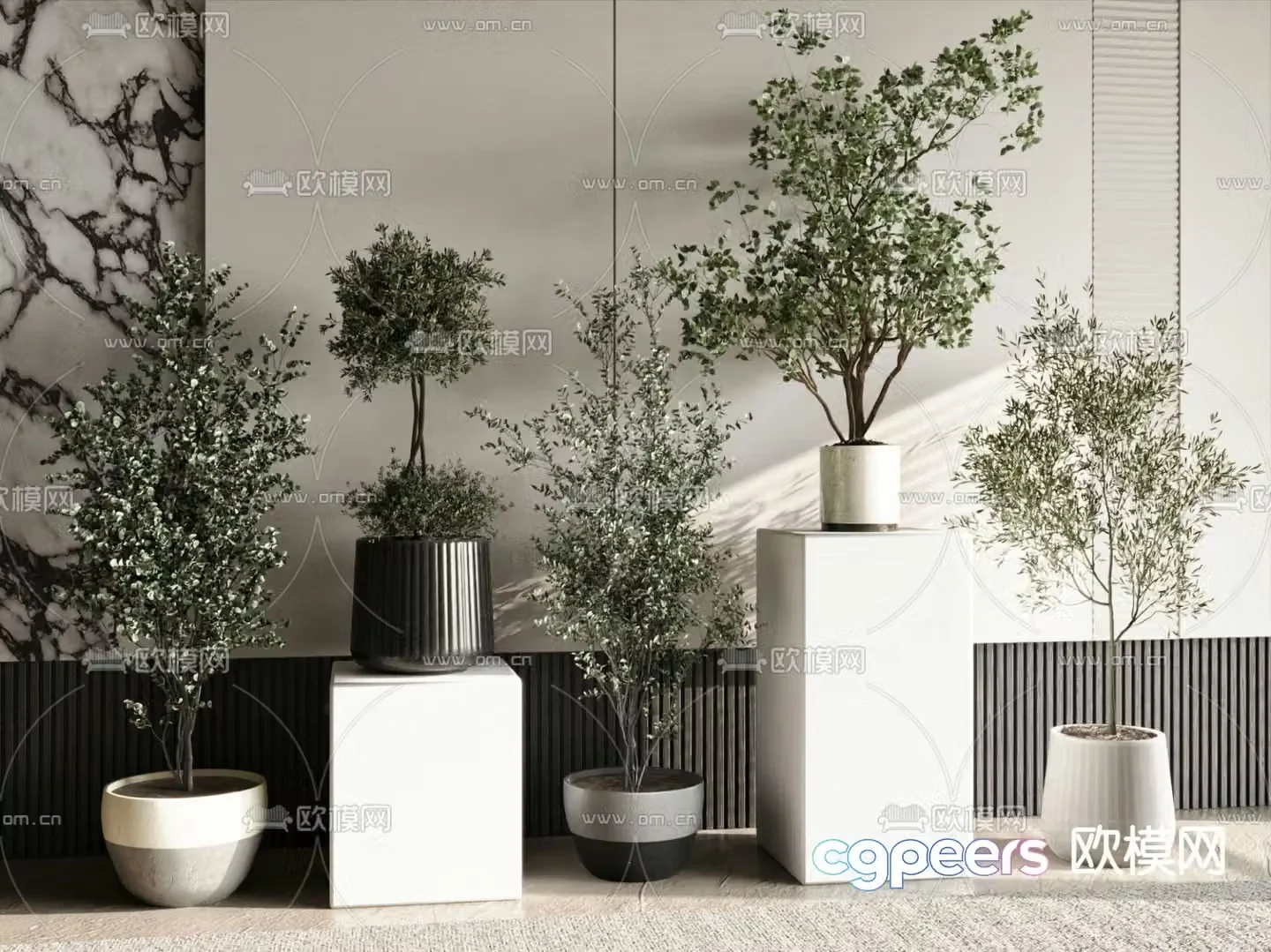 Potted plants Bonsai Green plants 3D model