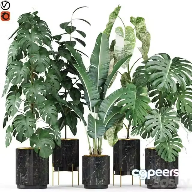 3ds Max Free – Plants collection 584