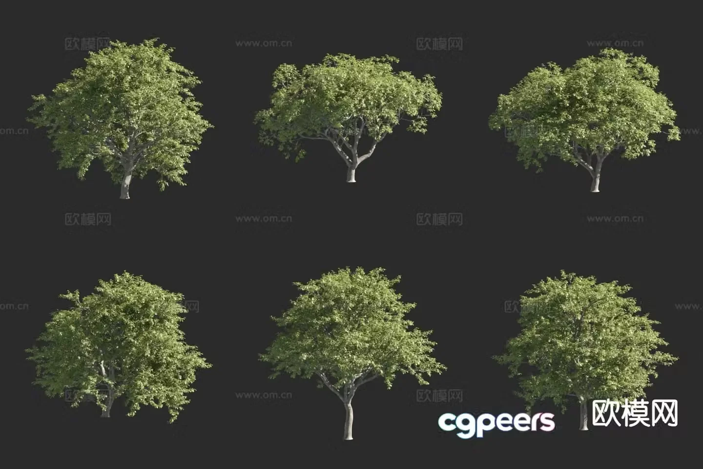 oak tree landscape tree ornamental tree tree 3d model