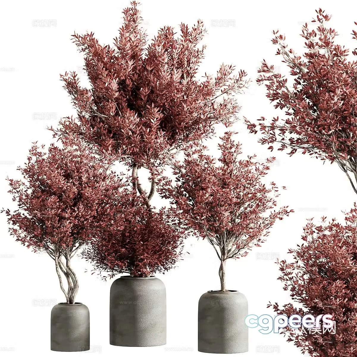 New Chinese potted 3D model