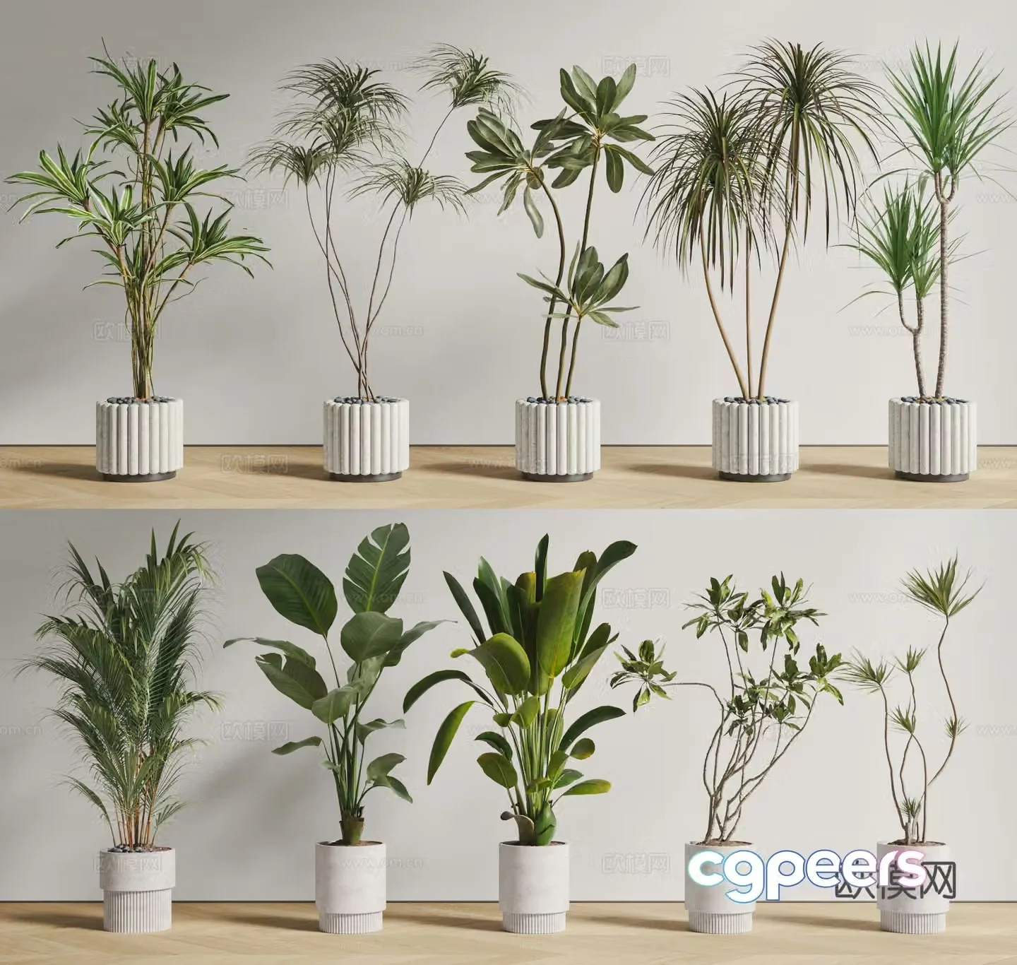 Modern potted bonsai potted green plants floor green plants dragon beard tree iron tree rubber tree 3d model