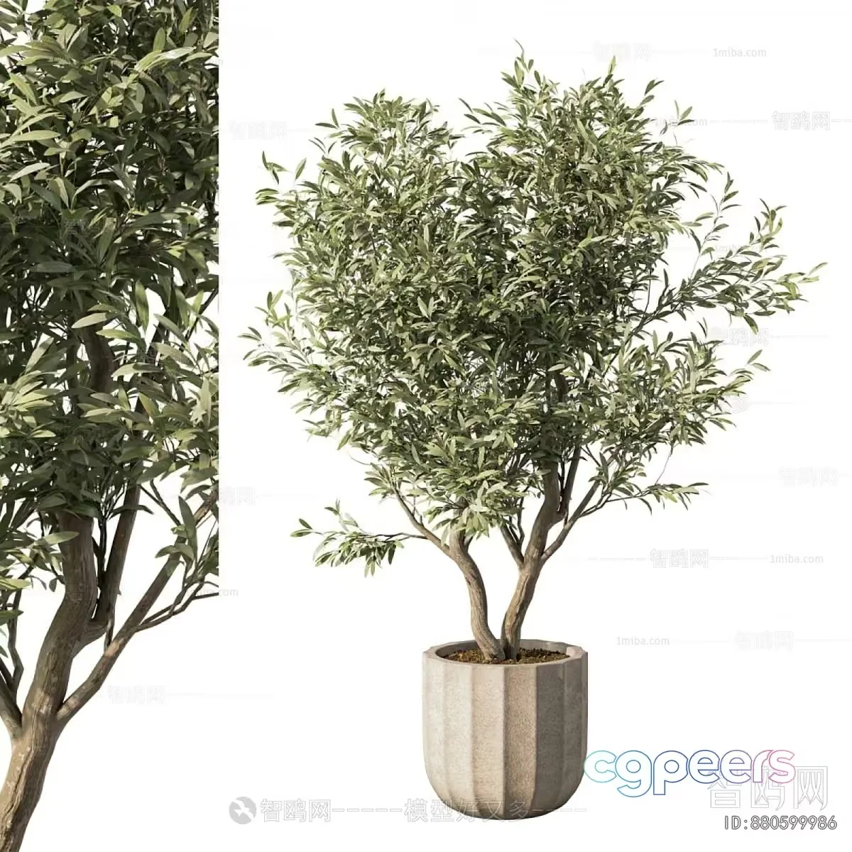 A Potted Plant 3D Model – 15968 – VRAY Render