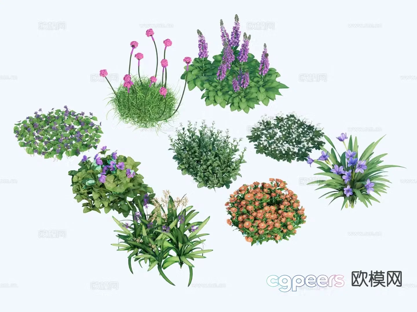 Grass and flowers plants Plant combinations End root flowers annual flowers shrub 3d model