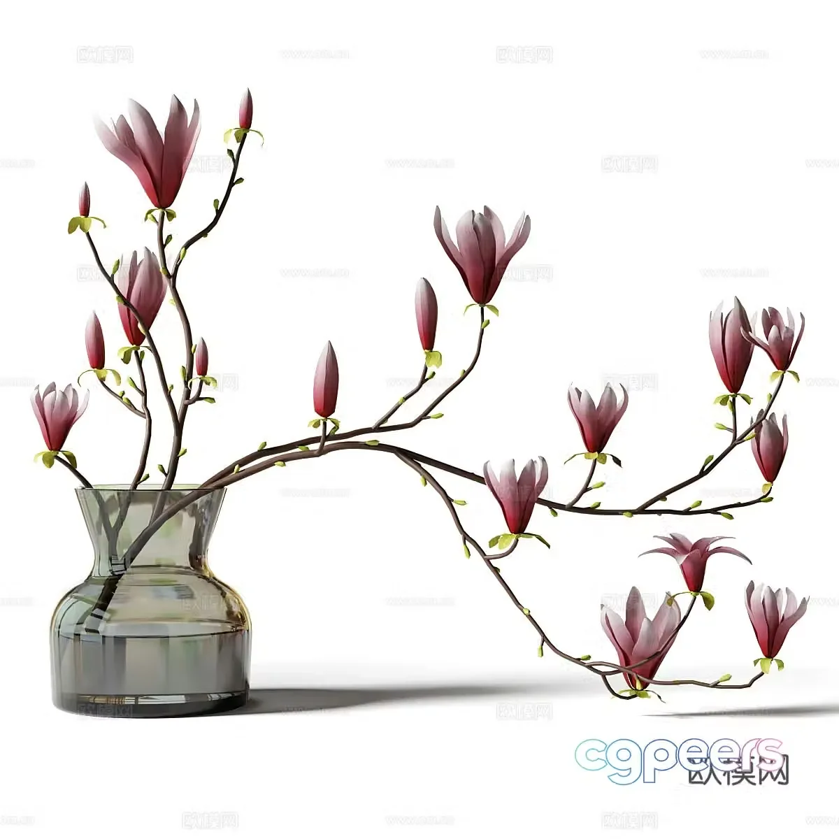 New Chinese style vase flower art Magnolia branch 3D model