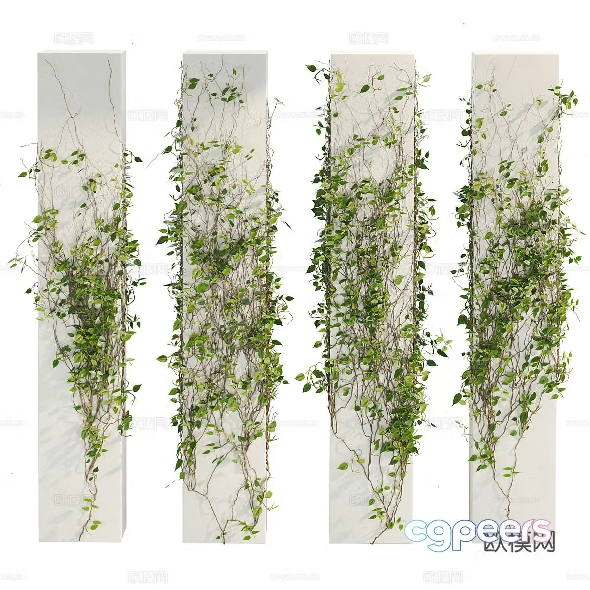 3D model of climbing plants