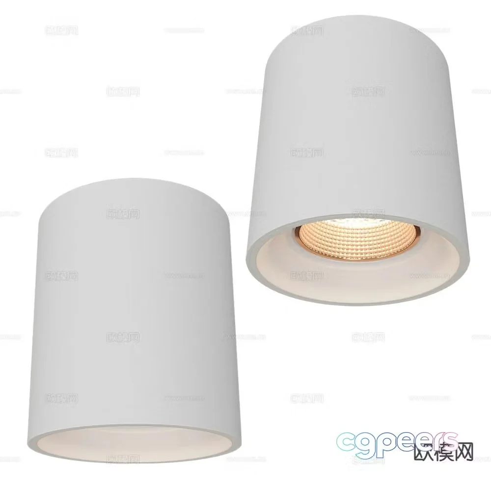 DENKIRS surface mounted downlight spotlight 3d model
