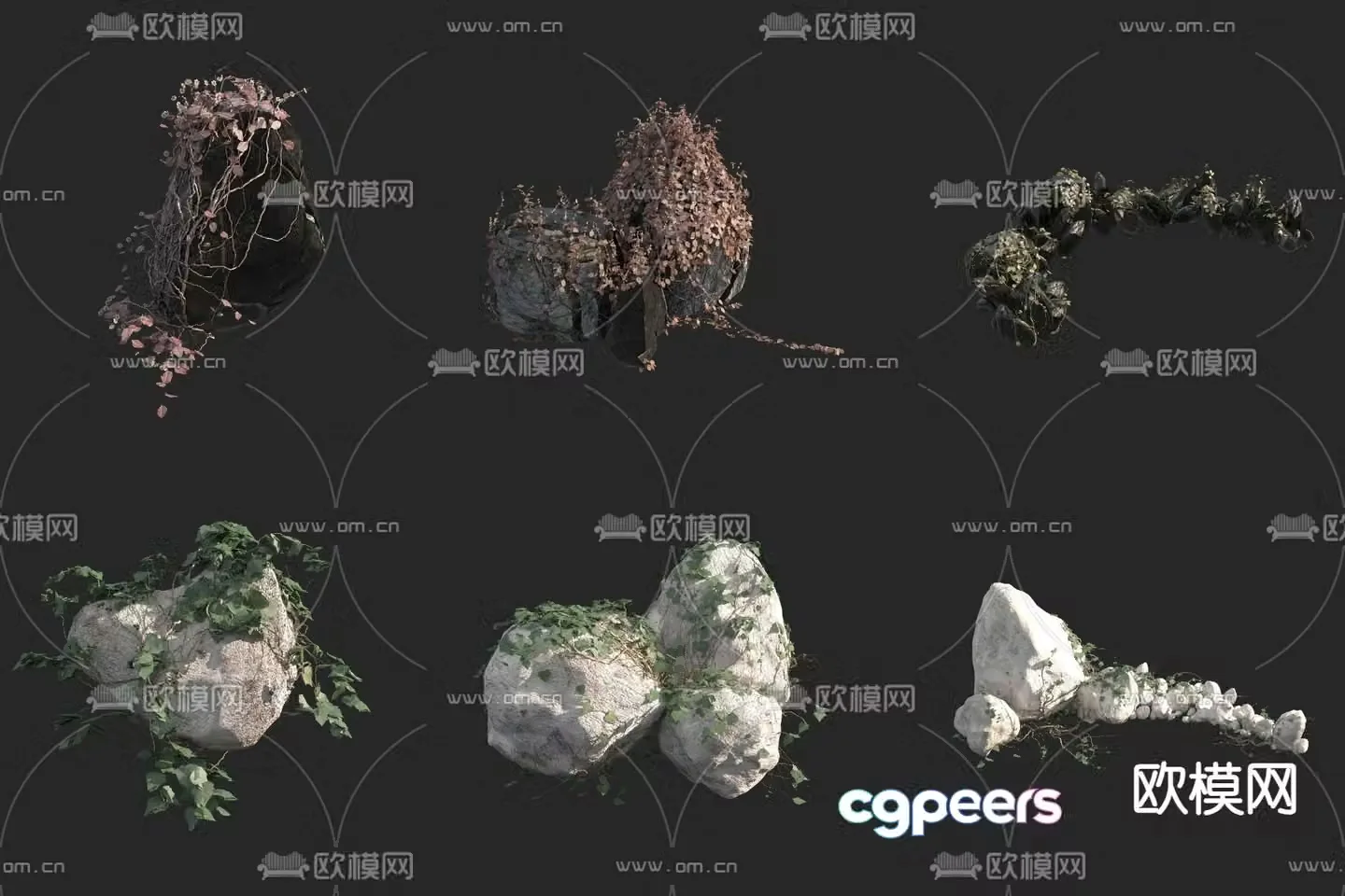 Rock vine climbing 3d model