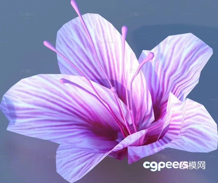 flower wildflower green plant flower 3d model