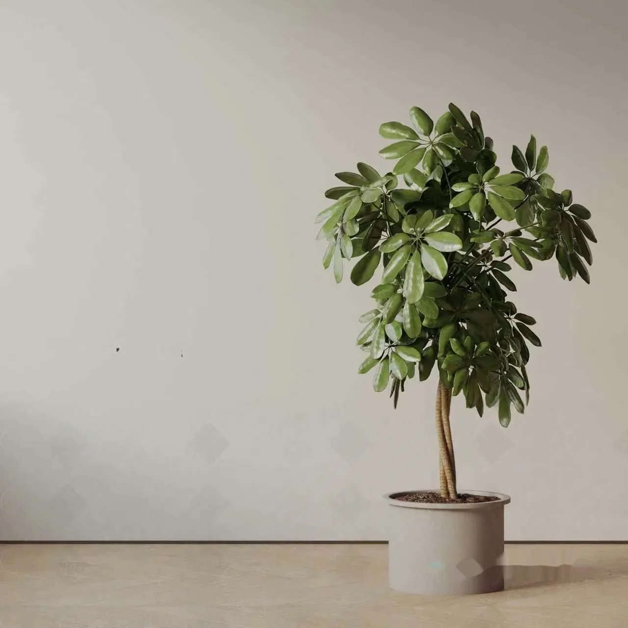 A Potted Plant 3D Model – 11219 – VRAY Render