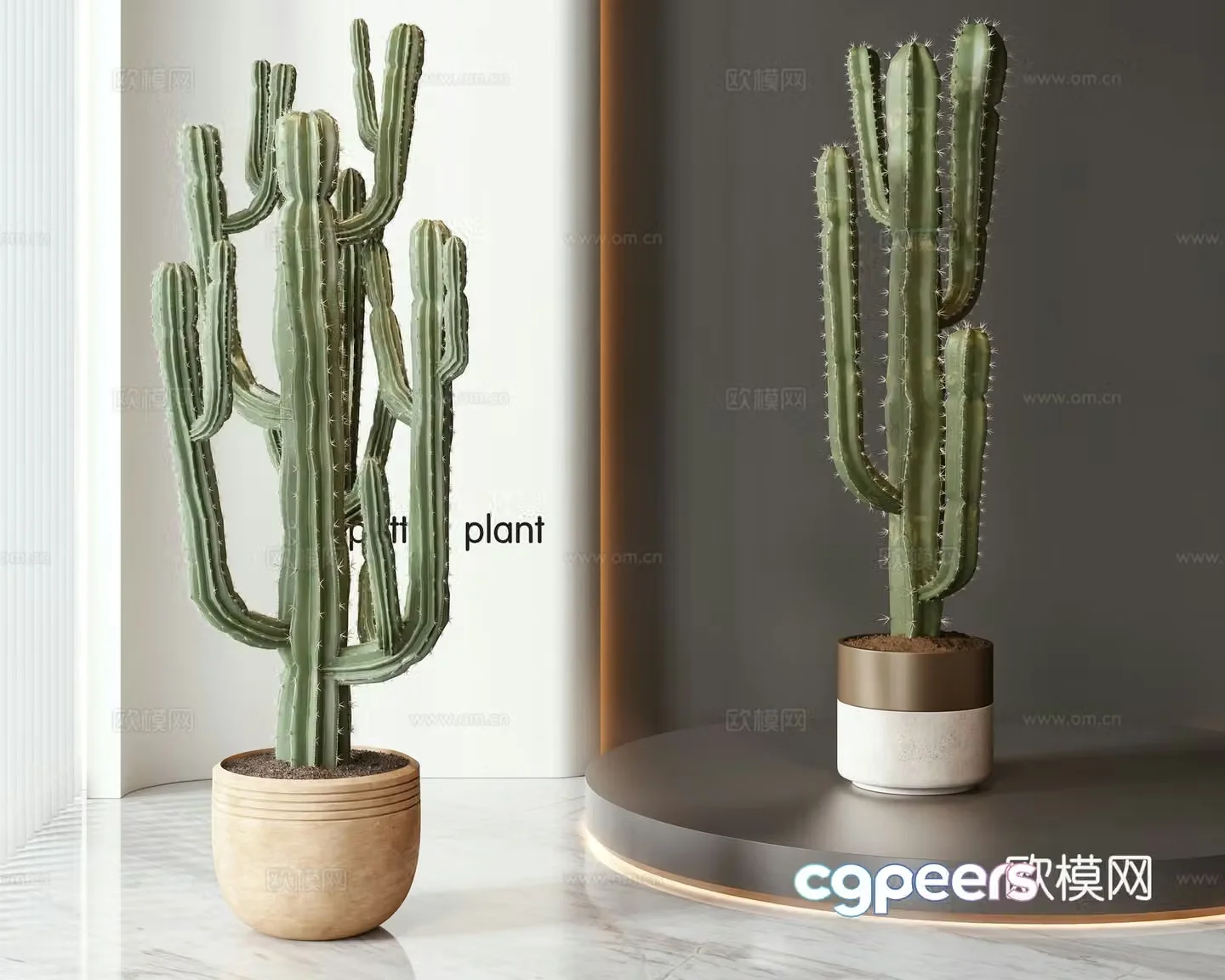 Modern potted bonsai combination 3D model