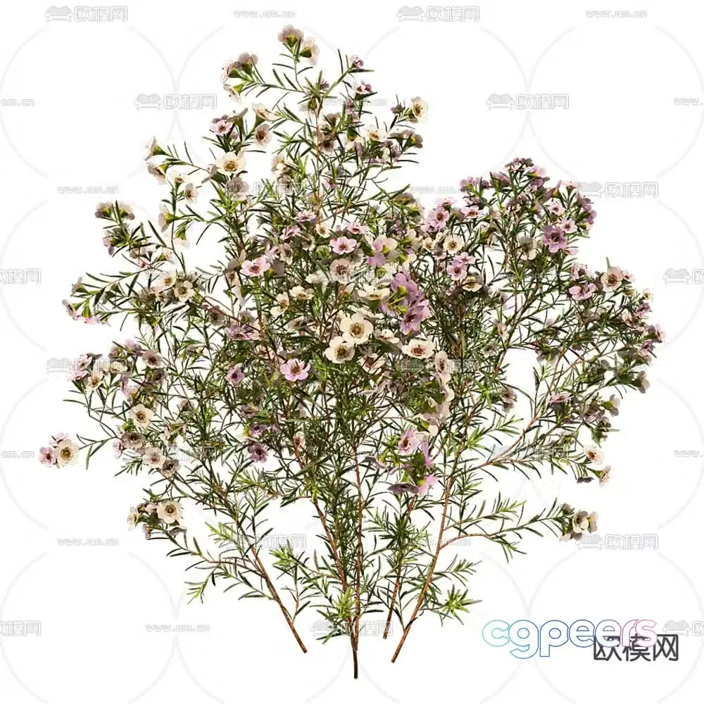 Modern landscape tree plant 3d model