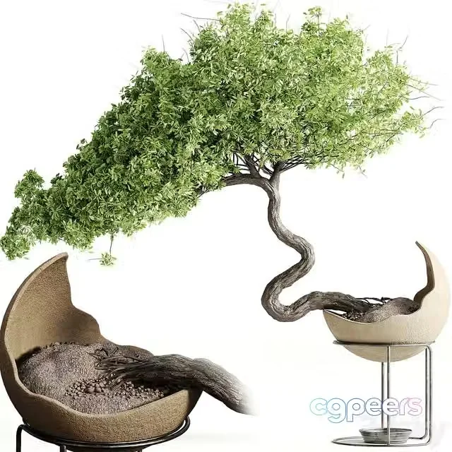 3ds Max Free – houseplants-indoor-Bonsai-039