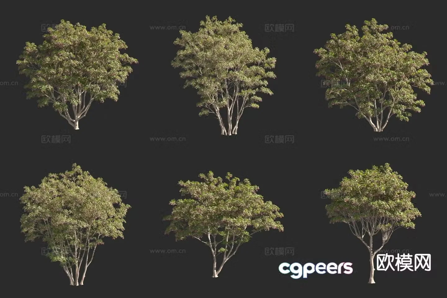 Cloth pattern bell flower tree landscape tree 3d model