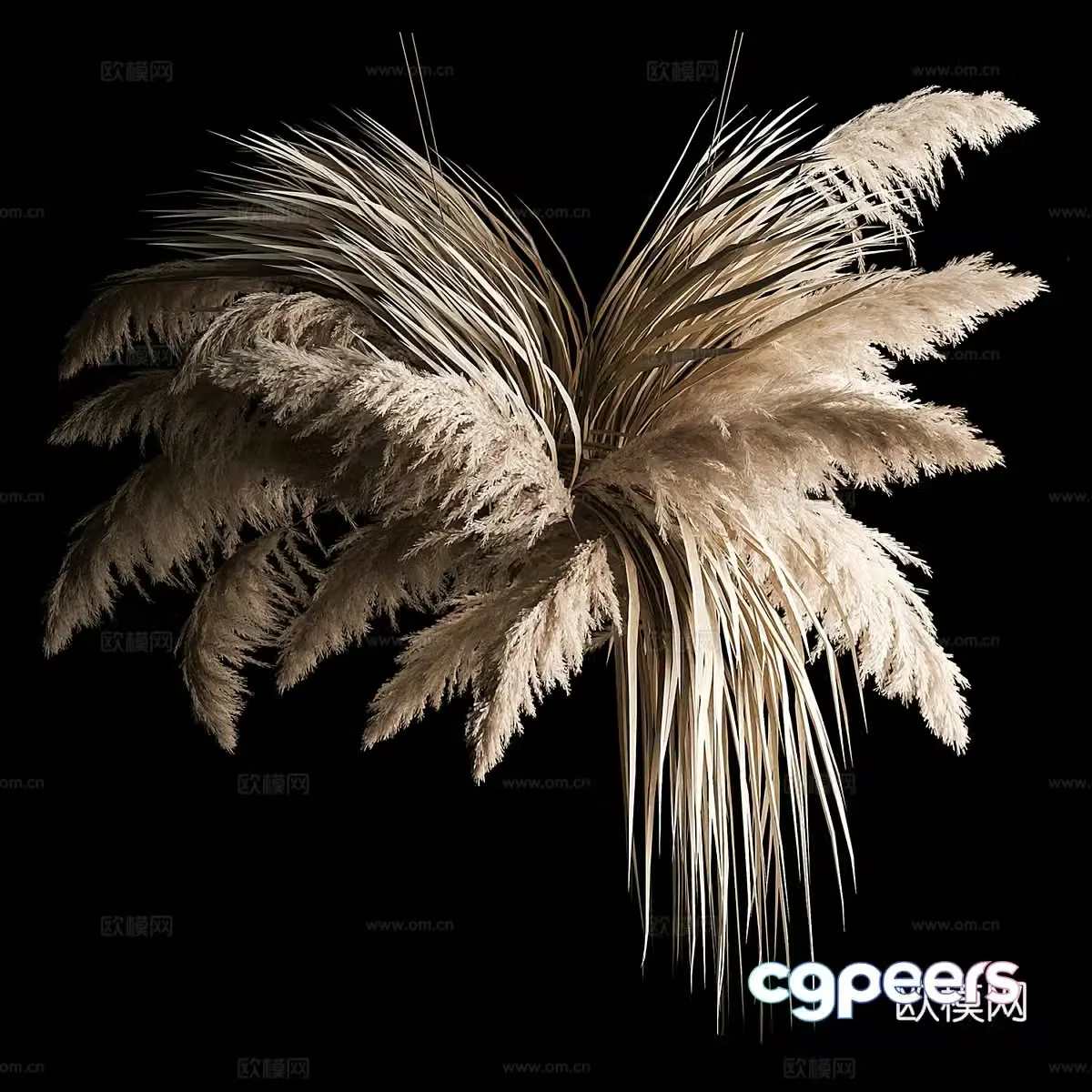 Hanging Pampas Grass 3D Model